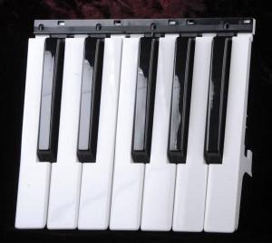 קלידים PA600 PA700 PA500 PA900 PA1000